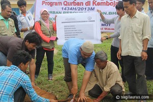 Pelaksanaan ibadah qurban di Kemboja oleh eQurban.com