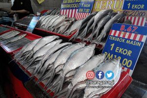 terubok masin kubah ria sitok sarawak